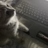 ilovesann02