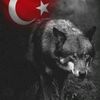 naml.yrk.ali