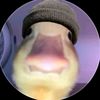 downzeesy