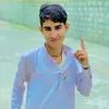 user020475254