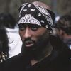 mujahidd___0