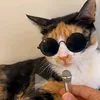 katze_katze