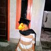 saiful.hadi288