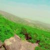 shabhaz.buzdar