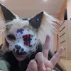 the_agnes_cat