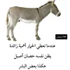 user767847863403