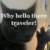 dabloonkittyhasbeenfound