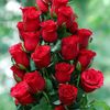 janejan4960