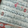 menna.mohamed3656