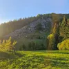 cvajzik