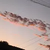eduardagutierrez62