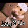 mjlill1
