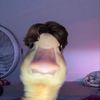 tikaman69