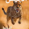 user32819558702987