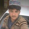 mosa.gull7