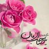 aoun8727