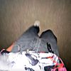 rix.m4m