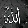 user3234073226919