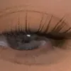 nouralmansour54