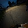 whoslexi40