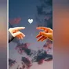 amaniamani8776