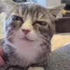 navi.moodz
