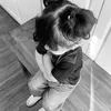qi_0j