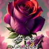 user8627861632807
