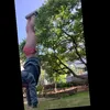 coras.gymnastic.j