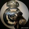 user7238196624061