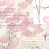 spamfromcaca6