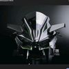 nest_lorito6