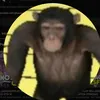 LUAMGAMEPLAY