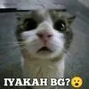evan_js2