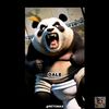 panda.alcivar