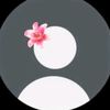 candidanavarro25