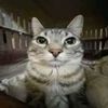 emmily.gallardo.g