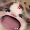 vorui_bohan101112