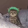 mikesupercar3