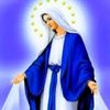 soliyana9562