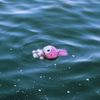 jellybrainz0