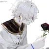 _regulus_corneas