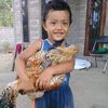 krisna.sastrawan7