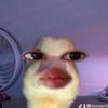 fani_slayy