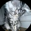 ghosty_4life