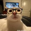 theguys_95