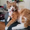 heckdisturb