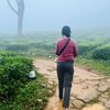 madhushi.thilakar