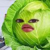 s4tvrneiz_fa_izza_