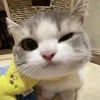 revanyaawuu8